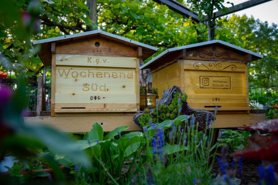 Bienenstöcke im Kleingartenverein Wochenende Süd e.V.